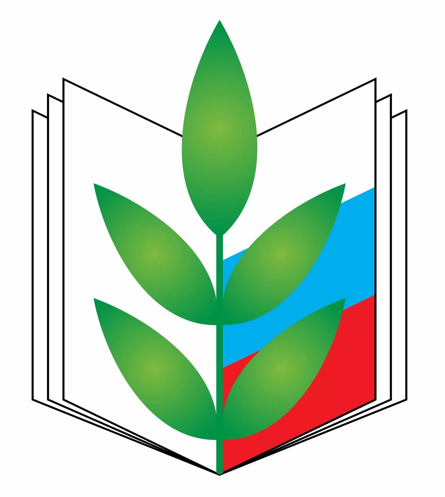 Изображения.